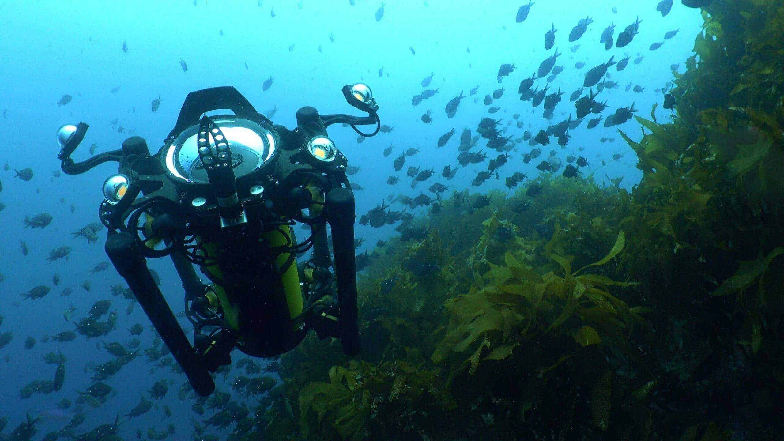Boxfish Research Integrates Reach Alpha Grabber for Subsea Exploration & Intervention