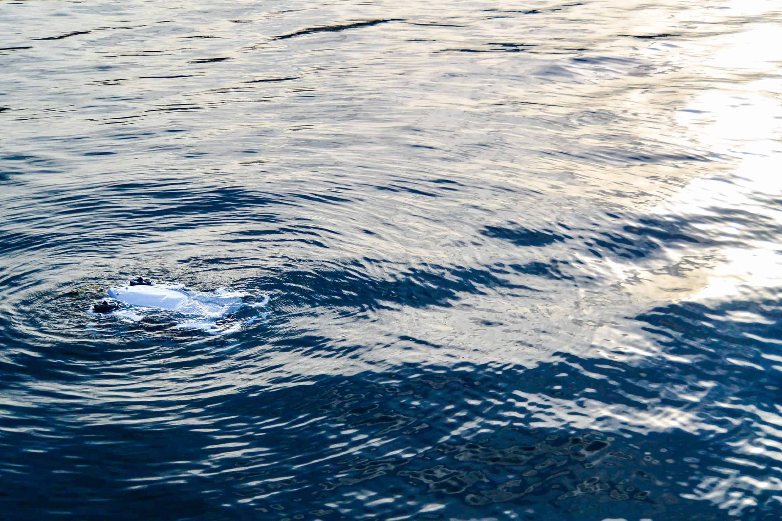 Tethys Robotics integrates Reach Robotics Grabber for Military EOD and Search & Rescue
