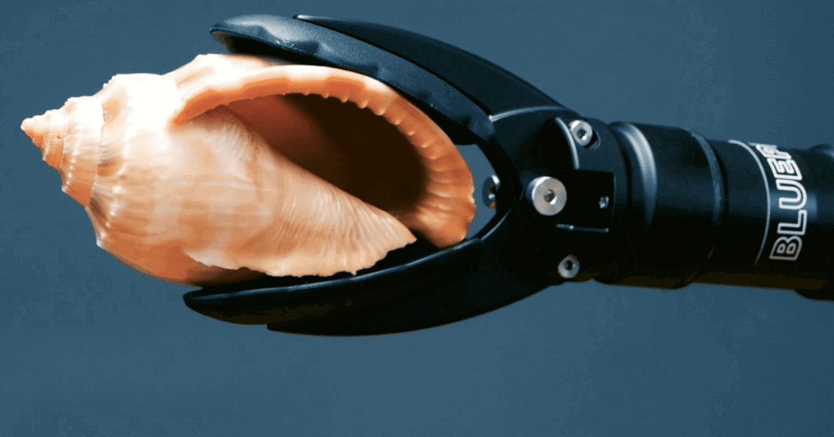 Shell Grabber Reach Robotics | ROV Grabbers: Everything You Need To Know