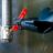 Control Options of a Robotic Manipulator: Improving Efficiency in Remote Operations