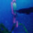 Advanced ROV tooling for the Offshore Energy sector