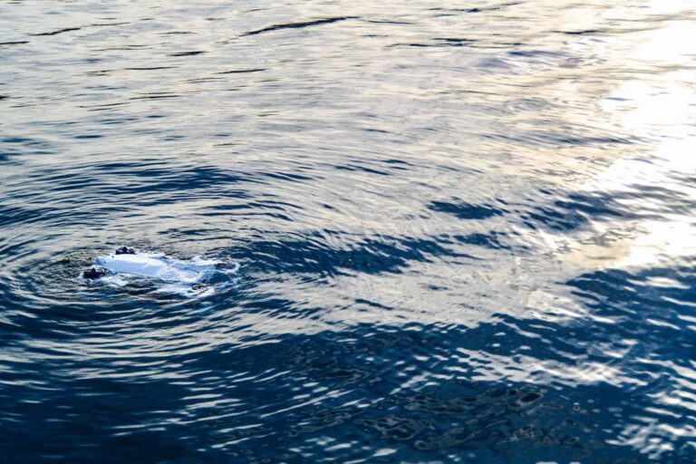Tethys Robotics integrates Reach Robotics Grabber for Military EOD and Search & Rescue