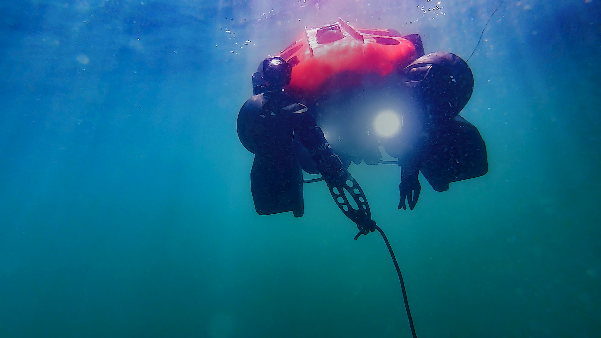 A test dive in Sydney Harbour 2021