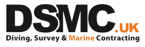 DMSC_logo